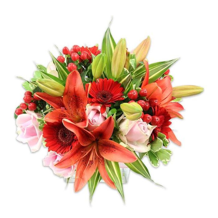 A generously filled, rounded floral arrangement is set against a clean white field, its design both bold and intimate. The dominant notes are several large, open Asiatic lilies in a vivid orange-red, their recurved petals lightly freckled and their stamens dark and clearly visible, offering botanical detail against smoother shapes. Interwoven are romantic pale pink roses, ranging from tight buds to open bloom, their velvety petals softening the intensity of the lilies. Vivid crimson Gerbera daisies appear throughout, their many narrow petals radiating from almost-black central disks to add a lively, textured counterpoint. Clusters of glossy red hypericum berries are threaded between stems, contributing small, bright focal points and a different, waxy texture. The foliage is abundant and varied - broad, deep-green leaves provide weight, slender lance-shaped lily leaves give vertical rhythm, and a few variegated leaves introduce delicate ivory streaks that catch the eye. A few unopened lily buds promise staged bloom progression, an indication of freshness and thoughtful selection. Arranged with precision by a local East Ham school of floral craft and available from East Ham Flowers, the bouquet evokes warmth and celebration while remaining suitable for formal occasions like anniversaries or generous everyday gifting. Under neutral studio lighting the colours read true and saturated, and a gentle sweet-and-spicy scent from the lilies mingles with classic rose fragrance, creating a sensory presence that feels both lively and composed in the heart of East Ham.
