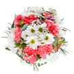 This exuberant bouquet captures the uplifting spirit of East Ham's best seasons, arranged with warmth and artistry by passionate local florists. At its heart, crisp white daisies with radiant lime-green centers sit among billows of coral-pink carnations, their plush, ruffled petals spilling joyfully outward. Wisps of baby's breath flutter like tiny clouds, lightening the composition and echoing the gentle atmosphere of a stroll through Flanders Field or the community spaces that define E6. Subtle touches of alstroemeria buds, gently streaked with pink and purple, emerge from silvery eucalyptus foliage, hinting at promise yet to bloom. The overall shape feels perfectly round and balanced-a reflection of the care and community pride found in East Ham's floral shops. The combination of vibrant colours, lively textures, and fresh greenery makes this bouquet a fitting choice for birthdays, thank-yous, or celebratory occasions, infusing any setting with tranquillity and delight. With its radiant local character and inviting beauty, it's a testament to the joyful artistry found in East Ham's flower delivery designs.